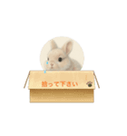 うさぎのルー（個別スタンプ：2）