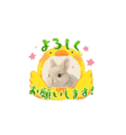 うさぎのルー（個別スタンプ：3）