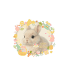 うさぎのルー（個別スタンプ：4）