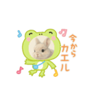 うさぎのルー（個別スタンプ：5）