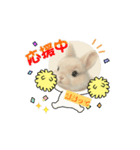 うさぎのルー（個別スタンプ：6）