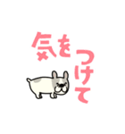 動くよ！！！フレンチブルドッグ2（個別スタンプ：9）