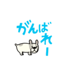 動くよ！！！フレンチブルドッグ2（個別スタンプ：13）