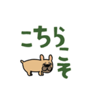 動くよ！！！フレンチブルドッグ2（個別スタンプ：19）