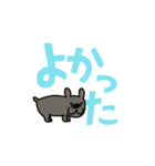 動くよ！！！フレンチブルドッグ2（個別スタンプ：24）