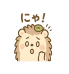 くるりハリネズミの毎日スタンプ（個別スタンプ：24）