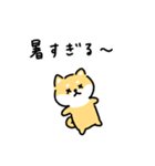 ゆる柴犬スタンプ17・サマー夏（個別スタンプ：2）