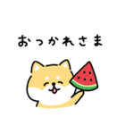 ゆる柴犬スタンプ17・サマー夏（個別スタンプ：3）