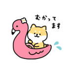 ゆる柴犬スタンプ17・サマー夏（個別スタンプ：12）