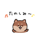 ゆる柴犬スタンプ17・サマー夏（個別スタンプ：14）
