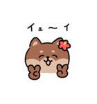 ゆる柴犬スタンプ17・サマー夏（個別スタンプ：15）