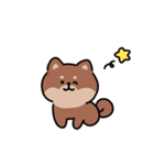 ゆる柴犬スタンプ17・サマー夏（個別スタンプ：16）