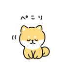 ゆる柴犬スタンプ17・サマー夏（個別スタンプ：24）