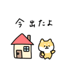 ゆる柴犬スタンプ17・サマー夏（個別スタンプ：25）