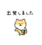 ゆる柴犬スタンプ17・サマー夏（個別スタンプ：26）