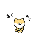 ゆる柴犬スタンプ17・サマー夏（個別スタンプ：28）