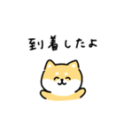 ゆる柴犬スタンプ17・サマー夏（個別スタンプ：32）