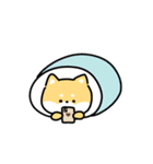 ゆる柴犬スタンプ17・サマー夏（個別スタンプ：39）