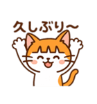 茶白猫の「カツラ」（個別スタンプ：4）