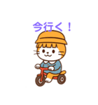 茶白猫の「カツラ」（個別スタンプ：6）