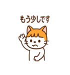 茶白猫の「カツラ」（個別スタンプ：7）