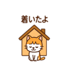 茶白猫の「カツラ」（個別スタンプ：8）