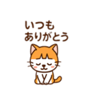 茶白猫の「カツラ」（個別スタンプ：9）
