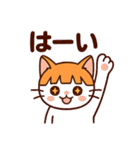 茶白猫の「カツラ」（個別スタンプ：13）