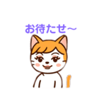 茶白猫の「カツラ」（個別スタンプ：14）