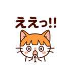 茶白猫の「カツラ」（個別スタンプ：20）