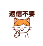 茶白猫の「カツラ」（個別スタンプ：21）