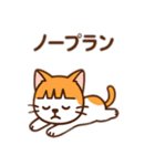 茶白猫の「カツラ」（個別スタンプ：22）