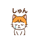 茶白猫の「カツラ」（個別スタンプ：23）