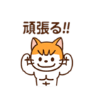 茶白猫の「カツラ」（個別スタンプ：26）