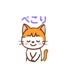 茶白猫の「カツラ」（個別スタンプ：28）