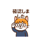 茶白猫の「カツラ」（個別スタンプ：34）