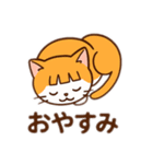 茶白猫の「カツラ」（個別スタンプ：37）