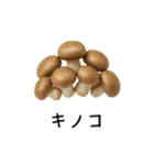家族みんなの買い物スタンプ【おつかい】（個別スタンプ：22）