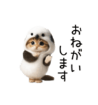 踊る！シマエニャガ（個別スタンプ：14）