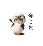 踊る！シマエニャガ（個別スタンプ：21）