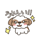 仲良しシーズー兄弟（個別スタンプ：5）