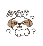仲良しシーズー兄弟（個別スタンプ：8）