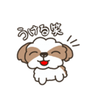 仲良しシーズー兄弟（個別スタンプ：10）