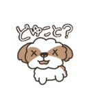 仲良しシーズー兄弟（個別スタンプ：11）