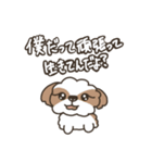 仲良しシーズー兄弟（個別スタンプ：13）