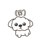 仲良しシーズー兄弟（個別スタンプ：21）