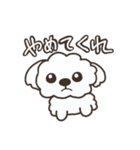 仲良しシーズー兄弟（個別スタンプ：22）