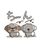 仲良しシーズー兄弟（個別スタンプ：34）