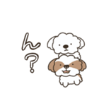 仲良しシーズー兄弟（個別スタンプ：36）