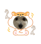 おもちの日常【2】（個別スタンプ：1）